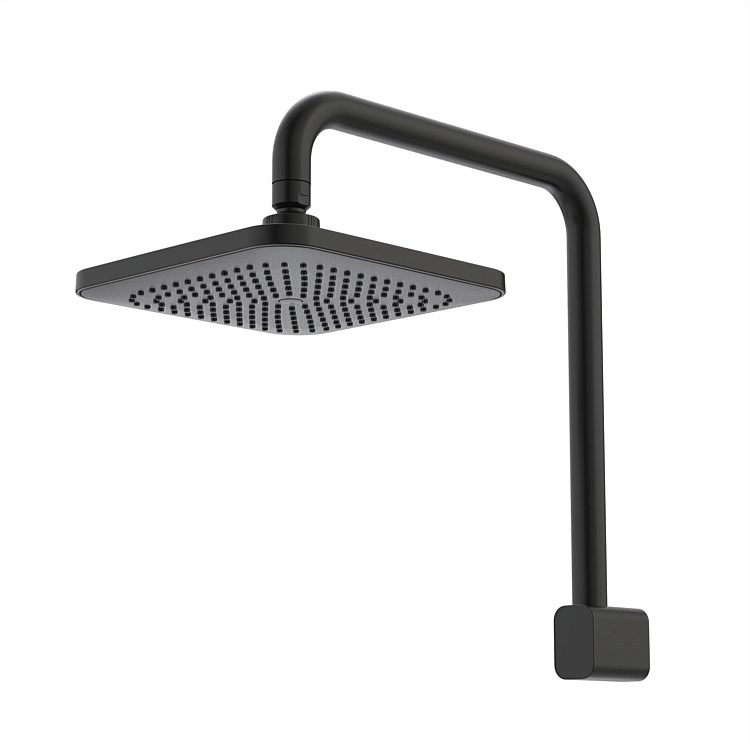 Caroma Luna Fixed Overhead Shower Black