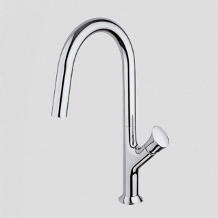 Paini Cucina Kitchen Mixer Hoop Spout Chrome