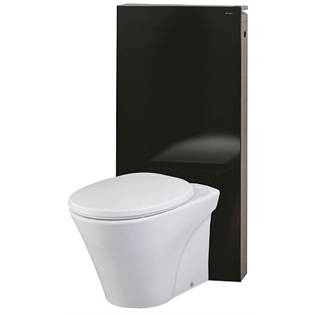 Toto Santa Maria Wall-Faced Pan and Geberit Monolith