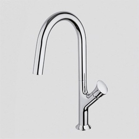 Paini Cucina Kitchen Mixer Hoop Spout Chrome
